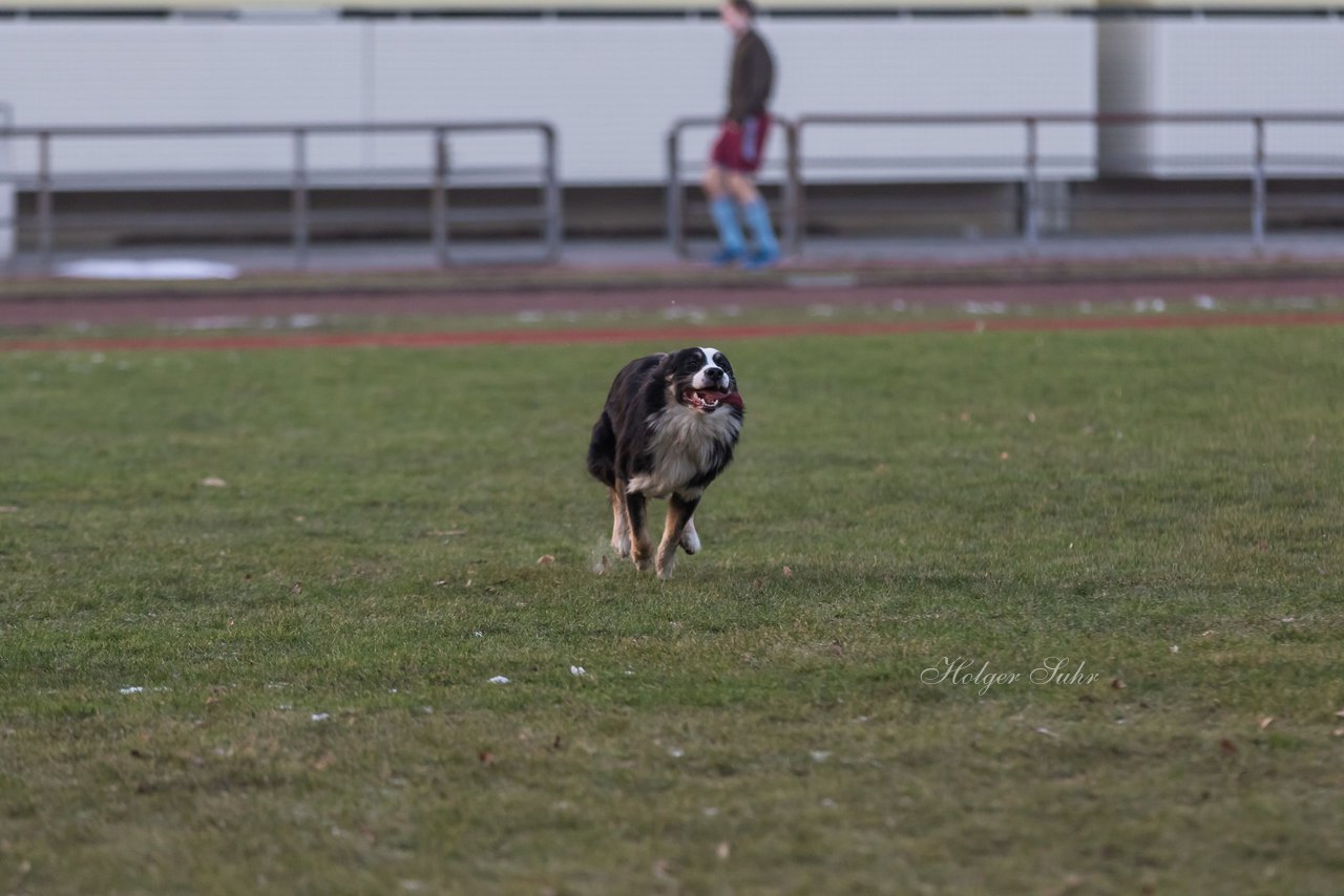 Bild 85 - Hundeshooting